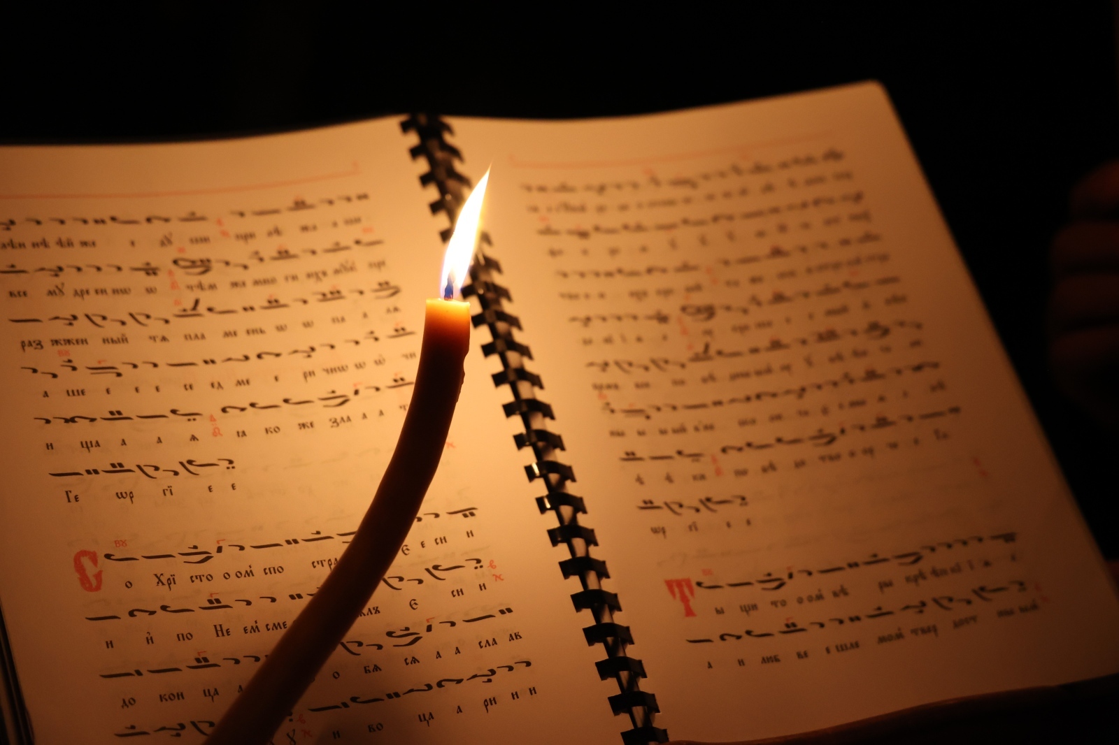 ПРОГРАМА НА БОГОСЛУЖЕНИЯТА ПРЕЗ ПЪРВАТА СЕДМИЦА НА ВЕЛИКИЯ ПОСТ В ПКСХП „СВ. АЛЕКСАНДЪР НЕВСКИ“